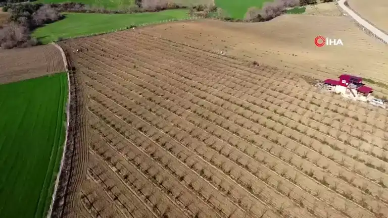 Kozan'da Teknoloji, Budakçılara Rahatlık Getirdi